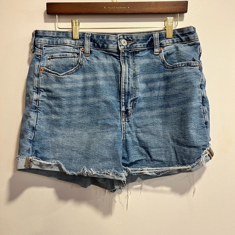 American Eagle Outfitters Mom Blue Jean Shorts